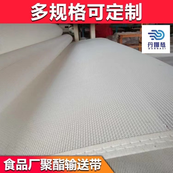 聚酯網(wǎng)廠家